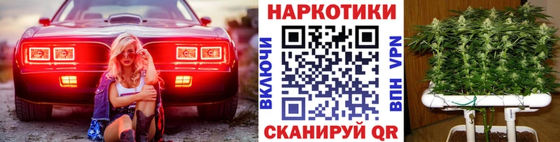 Купить закладку Грайворон Канабис Амфетамин A-PVP Меф мяу мяу ГАШИШ Кокаин