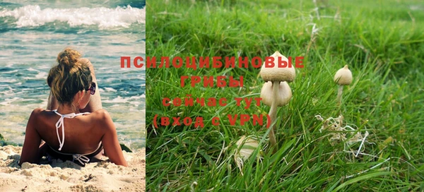 а пвп мука Балахна