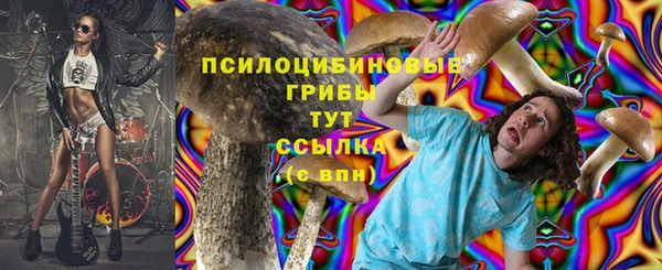 Альфа ПВП Баксан