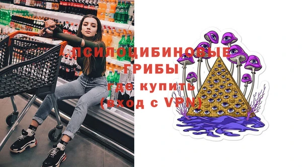 Альфа ПВП Баксан